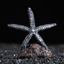 Аквадекор для аквариума Морская звезда на подставке 7,5х3,5х8см 7102542