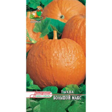 Семена Тыква Большой Макс (Поиск)