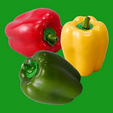 Муляж Перец сладкий зеленый AV616G