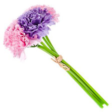 Букет Гвоздика 23 см, 501-421