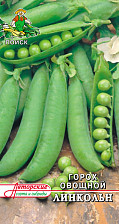 Семена Горох овощной Линкольн (А) (Поиск)