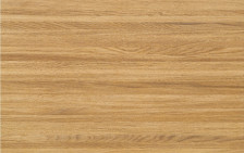 Столешница СКИФ (4,2х0,6х0,038) 98 золотистый дуб