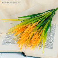 Букет колосок 36 см 3792287