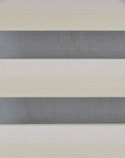 Штора рулонная День-ночь СРШ-4901 72(68)/215