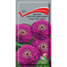 Семена Цинния Георгиноцветковая Супер йога Парпл (Поиск)