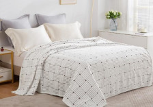 Плед 200х220 микрофибра в чемодане Cleo BAMBOO 180/287-pb