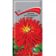Семена Цинния кактусовидная Бог огня (Поиск)