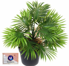 Цветок искуственный Пальма Арека 22см в горшке 951-588