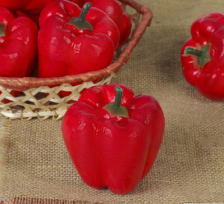 Муляж Перец красный 249291