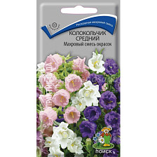 Семена Колокольчик средний Махров смесь окрасок(двулет) (Поиск)