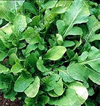 Семена Индау (руккола) Будь здоров 0,3г (Аэлита)