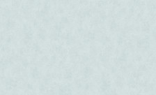 Обои 60706-06 Erismann Profi Deco Monolit 1,06х10,05 (6)