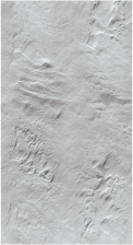 Панель пластиковая 7203/2 (0,25х2,7) (10)