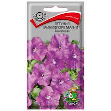 Семена Петуния минифлора Магнит фиолетовая (Поиск)