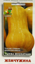 Семена Тыква мускатная Жемчужина (Поиск)