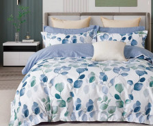 КПБ поплин Pure Cotton 303-PCE 70х70 1,5 сп Cleo