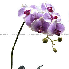 Ветка Орхидея сиреневая 75см