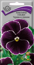 Семена Анютины глазки Черника со сливками (Поиск)