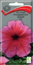 Семена Петуния грандифлора Дэдди Ред (Поиск) Семена Петуния грандифлора Дэдди Ред (Поиск)