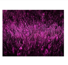 Ковер DEFIER 01800А purple 2,5х3,5м