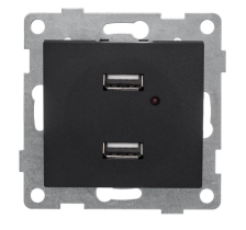 Розетка USB 2-м скрытой установки С11USB2-010 графит