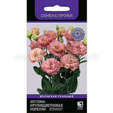 Семена Эустома крупноцветковая Корелли Эприкот (Поиск)