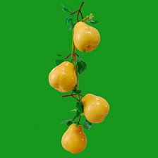 Муляж Груши в связке AF514