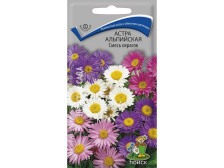 Семена Астра альпийская Смесь окрасок (Поиск)
