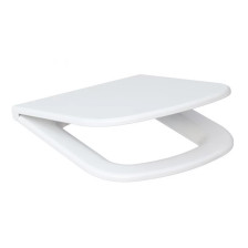 Сиденье для унитаза Colour дюропласт, микролифт