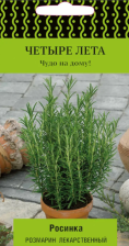 Семена Розмарин лекарственный Росинка (А) (Поиск)