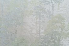 Обои 11218-04 Артекс Форест (1,06х10,05) (6)