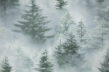 Обои НС72551-71 Палитра 1,06х10 (8)