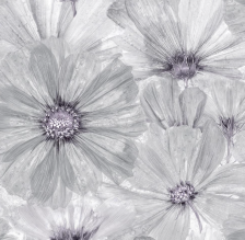 Обои Санди 06 С6 Саратов (0,53х10) (12)