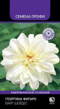 Семена Георгина Фигаро Вайт Шейдес 10шт (Поиск)