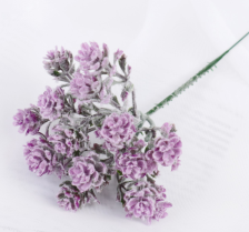 Букет "Круглолист" 17 см микс 4642656