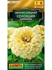 Семена Цинния Сенсация кремовая 12 шт (Аэлита)