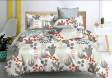 КПБ поплин Pure Cotton 219-PC/CL 70х70 1,5 сп Cleo