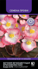 Семена Бегония вечноцветущая бронзоволистная Бада Бум Роуз 15шт (Поиск)