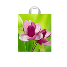 Пакет с петлевой ручкой Цветы 41x45см
