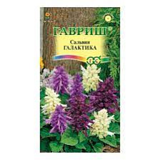 Семена Сальвия карликовая Галактика смесь 8шт (Гавриш)