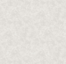 Обои 585342 Victoria Stenova Peony (1,06х10) (6)