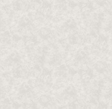 Обои 585342 Victoria Stenova Peony (1,06х10) (6)