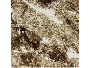Ковролин ASTI 4843A white-white 3,0м