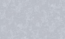 Обои 60623-10 Erismann Spectral Color 1,06х10,05 (6)