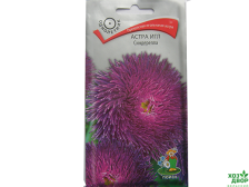 Семена Астра игл Синдерелла (Поиск)