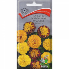 Семена Бархатцы отклонен махров  Бой смесь (Поиск)