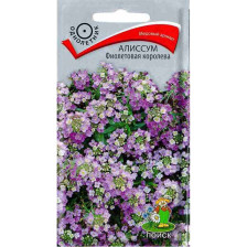 Семена Алиссум Фиолетовая королева (Поиск)