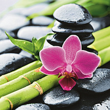 Штора для ванной комнаты 180х200см BRIMIX БАМБУК С ЦВЕТКОМ, фотопечать, без колец 02-19