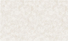 Обои Раджа фон 05 С50 Саратов (1,06х10,05) (6)