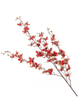 Ветка Дендробиум 112см оранжевый 424385